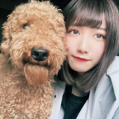 airi_txt_shinee's profile picture. あいりす🍠 MOA🐧シャヲル🔑🐥