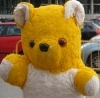 YellowTed's profile picture. I'm a #teddy bear, and I'm yellow, and I woke up one day and discovered this social media thing. Follow my #YellowTed adventures here!!