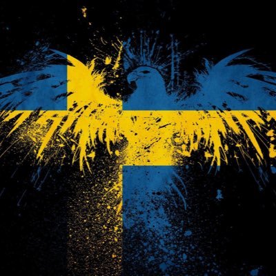 HecticxToxic's profile picture. AIK 1891 🖤💛 🇸🇪 #NAFO