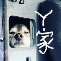 Y家 WAIKE CAMPERVANS(@YMaikka) 's Twitter Profile Photo