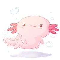 Axolotl of Everything(@AxolotlAIII) 's Twitter Profile Photo