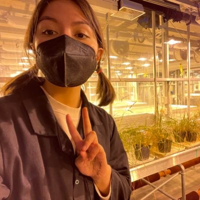 postdoctoral researcher @Cambridge_Uni  @plantphys_cam, studying maize NPQ with @photosynthth_2030 🇲🇽 🌱 (she/her)