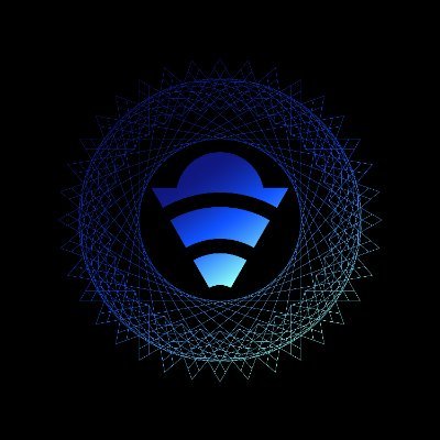 Internet of Decentralized Networks. An open-source system that will provide a secure and permanent internet connection for worldwide users.