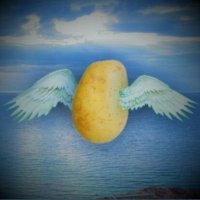 thinking potato (@iam_no_thinking) 's Twitter Profile