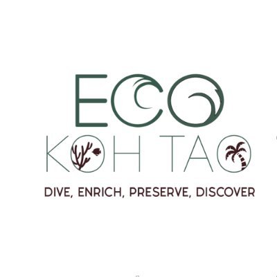 Eco Koh Tao is a leading provider of marine conservation courses and Internships for those with an interest in protecting our marine environment 🐠  🇹🇭  🐢