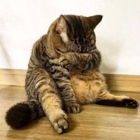 아마스 (@_amassss) 's Twitter Profile