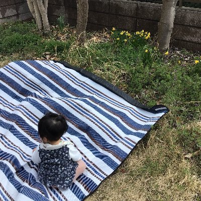 ped_yi's profile picture. 小児科専門医&AI医学社会人大学院生。
babyと心エコーが好きです。
子連れ外出時のミカタ「ぽちずかん」@Pochizukan555
キカガクAI長期コース。もいせん２期生。3歳1歳👧👦育児中。ハッカソン好き。
2022#2E資格/統計検定2級(準一級の勉強中)