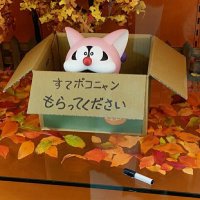DN (@snowwhiteagle) Twitter profile photo