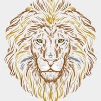 CFA Lions(@CFAlionsr2) 's Twitter Profileg