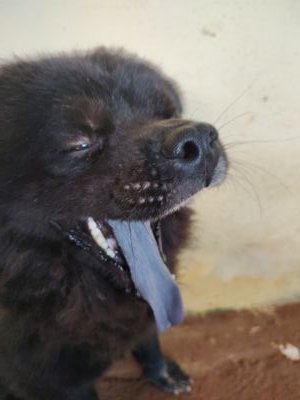 Thauan37562509's profile picture. O