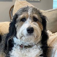 K Syrah (@ap35306346) 's Twitter Profile Photo