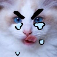 코민🐣 (@code_rhdwn) 's Twitter Profile