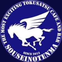 蒼星の天馬 (@sousei_no_tenma) Twitter profile photo