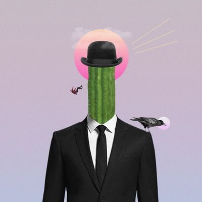 cactus961 Profile Picture