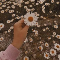 om Youssf (@youssef4_sayed) Twitter profile photo