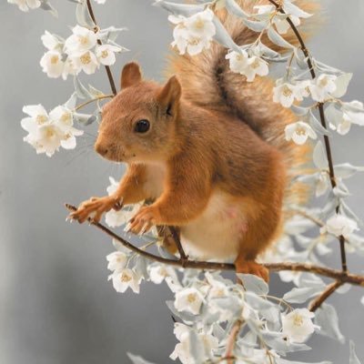 Doleah's profile picture. 100% Trump Supporter! Wife, Mother, Grandmother, Small Business Owner and coach!