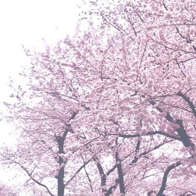 夏底さんのプロフィール画像