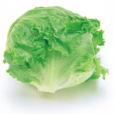 ほりゅさんのプロフィール画像