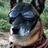 LuLzTeamSIX's profile image