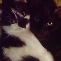 pan_panie_Balcerek (@balcerek123) 's Twitter Profile Photo pan_panie_Balcerek (@balcerek123) 's Twitter Profile Photo