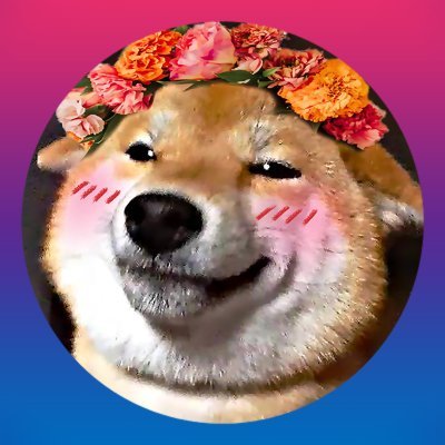 Raul (Cachorro Falante)さんのプロフィール画像
