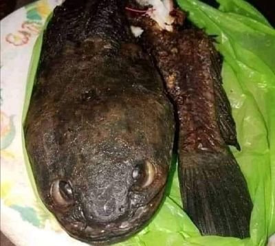 08Zink's profile picture. 