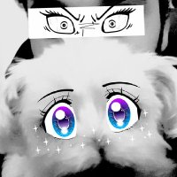 Crypt0Fries (@crypt0fries) 's Twitter Profile