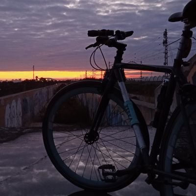Urban Bike Rider, Forest Engineer, Arborist, Airport Handling Agent and GIS professional.