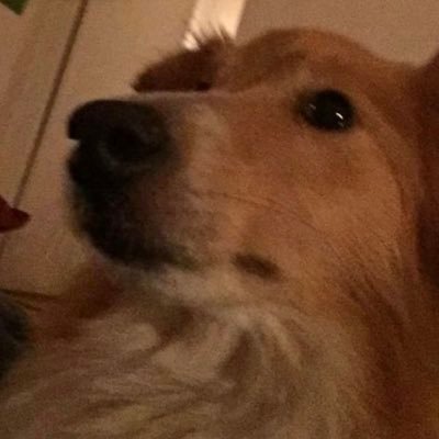 Timchefen's profile picture. losersq on ip address unlucky