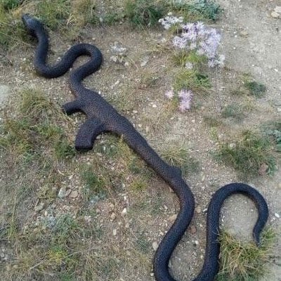 Textsupport6969's profile picture. 