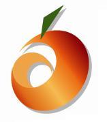 Wise Business Technologies