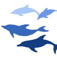 Shark Bay Dolphin Research Project(@sb_dolphins) 's Twitter Profile Photo