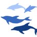 Shark Bay Dolphin Research Project (@sb_dolphins) Twitter profile photo Shark Bay Dolphin Research Project (@sb_dolphins) Twitter profile photo