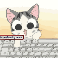More Cats (@evenmorecats) 's Twitter Profile Photo