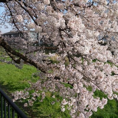 学生時代の畑とは全く異なる流体関係の数値計算やってます。車輪の再開発を中心に、たまにOpenFOAMなど。酒。チー牛(某娘評)