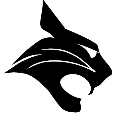 _BLHS_Athletics Profile Picture