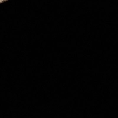 customsfx's profile picture. 