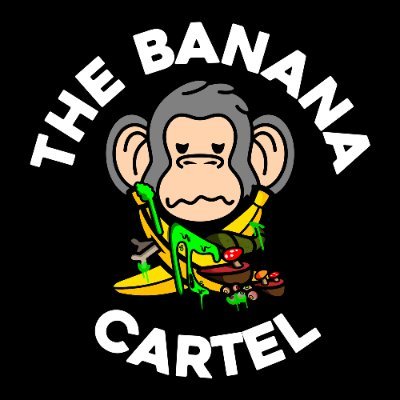 5,555 Apes in the Banana Cartel on Ethereum 🍌 
#NFTcollection by artist @sushigores & @ValentiaDinero  
Discord: https://t.co/IWusrejMTd 🦍
