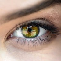ATenttis 👀 (@atenttis) 's Twitter Profile Photo ATenttis 👀 (@atenttis) 's Twitter Profile Photo