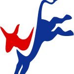 Bastrop County Democratic Party (@bastrop_dems) 's Twitter Profile