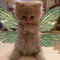 رنـا (@_x445) 's Twitter Profile