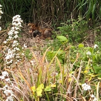 AlexPickup9's profile picture. compulsive gambler and good guy