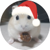서글픈빻빻이💎🐀🐠🦜 (@cutepotpot2) Twitter profile photo 서글픈빻빻이💎🐀🐠🦜 (@cutepotpot2) Twitter profile photo