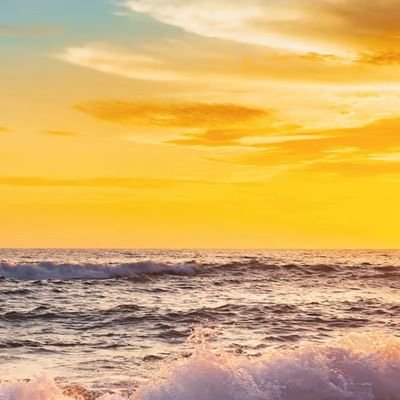 Ala15474506's profile picture. 