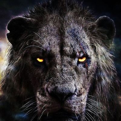I Ain't A Killer But Don't Push Me Revenge Is Like The Sweetest Joy Next To Getting A Pussy