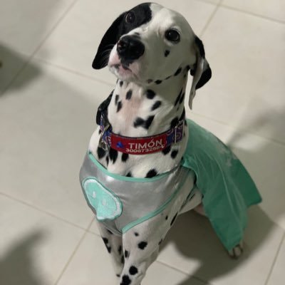 Thomas18003's profile picture. coyg
atl. nacional