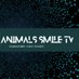 Animals Smile Tv (@smileanimals) Twitter profile photo Animals Smile Tv (@smileanimals) Twitter profile photo