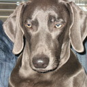 Gina Reed - @Golfingrocker - Twitter