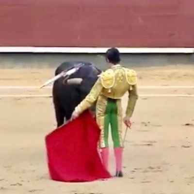 #Cobradiezmos #Toro Amante de la tauromaquia. Apasionado del tercio de varas. Teniente de alcalde en Villamanta,mi pueblo. Mi España 🇪🇸🇪🇸