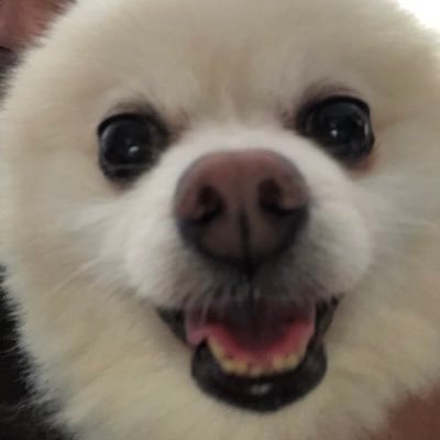 渋谷 将さんのプロフィール画像